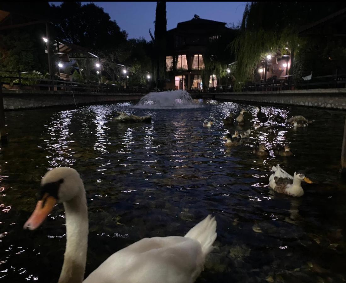 Rritja E Koranit Hotel Tushemisht Bagian luar foto