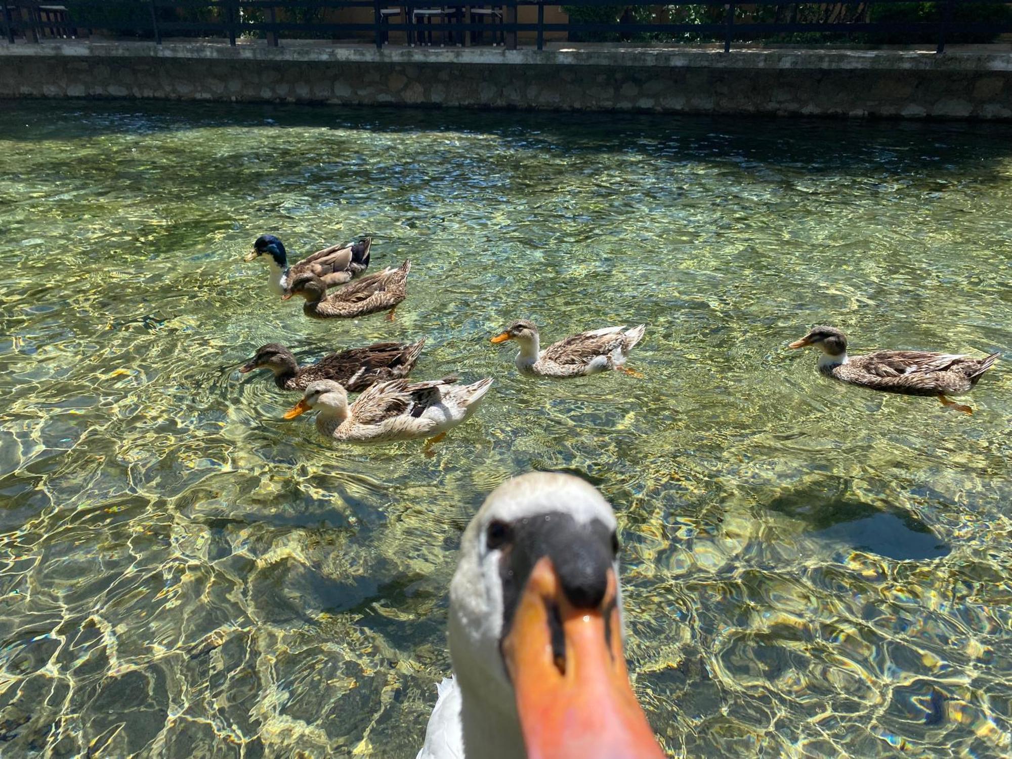 Rritja E Koranit Hotel Tushemisht Bagian luar foto